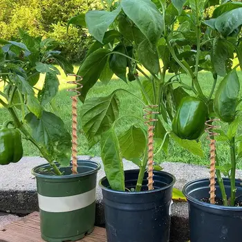 6 ШТ Многоразовых садовых опор для крепления кольев для растений Зеленые бамбуковые растения Палочки для выращивания овощей Колья для шпалер для вьющихся растений