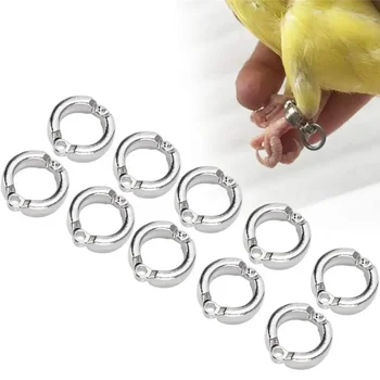 Кольца для ног попугая, Металлические кольца для ног домашней птицы, для тренировок на открытом воздухе, аксессуары для открывания с защитой от потери, 3,5 -14,5 мм
